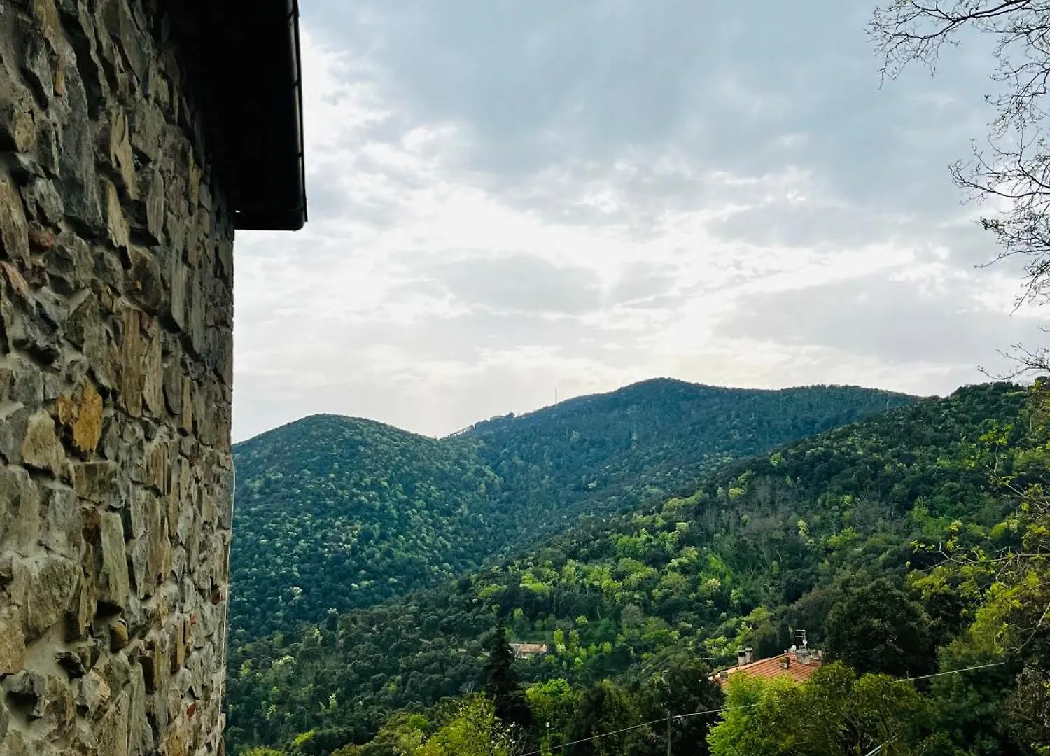 Alla Meria Castiglione della Pescaia