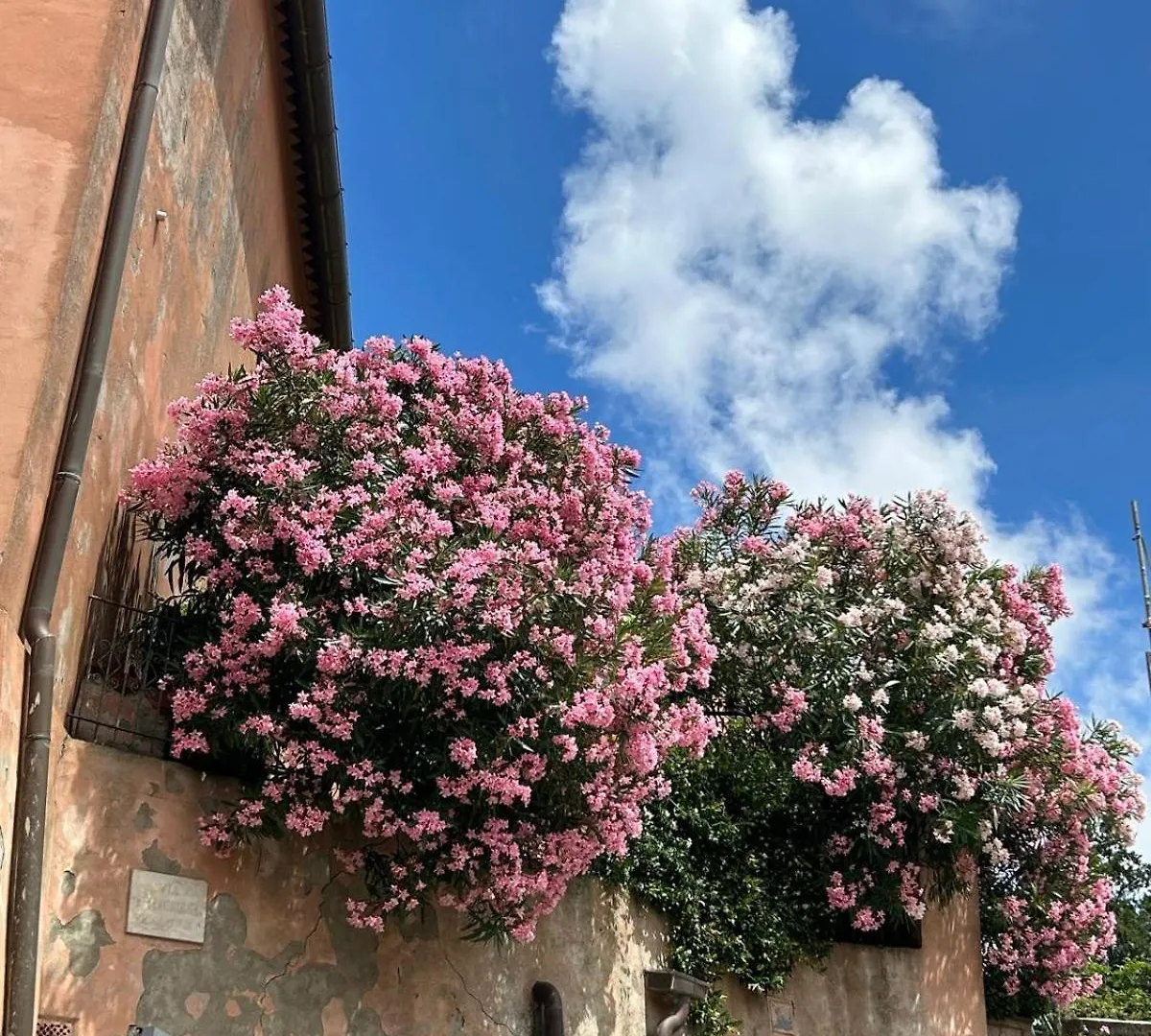 Alla Meria Castiglione della Pescaia 0*,  Italy